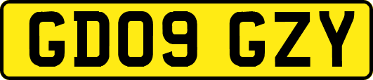GD09GZY