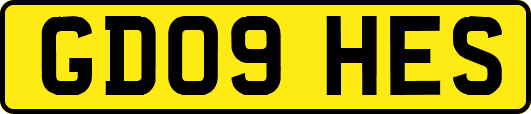 GD09HES