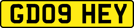 GD09HEY