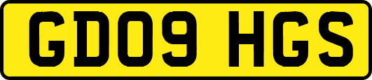 GD09HGS