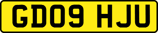 GD09HJU