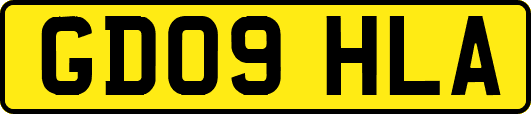 GD09HLA