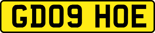 GD09HOE