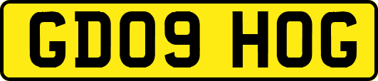 GD09HOG