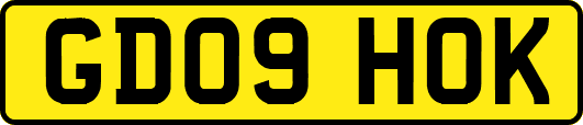 GD09HOK