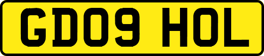 GD09HOL