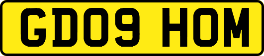 GD09HOM