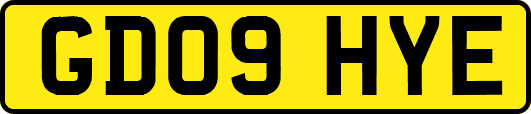 GD09HYE