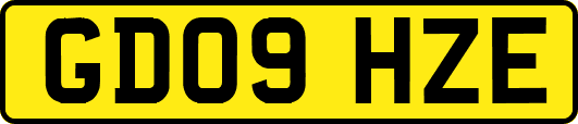 GD09HZE