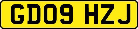 GD09HZJ