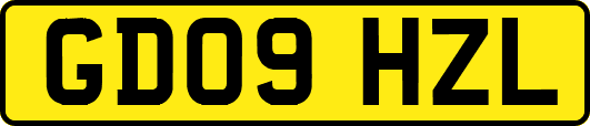 GD09HZL