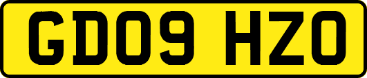 GD09HZO