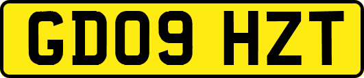 GD09HZT