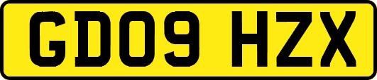 GD09HZX