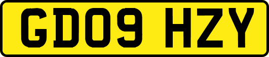 GD09HZY