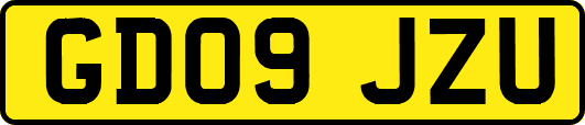 GD09JZU