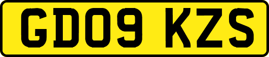 GD09KZS