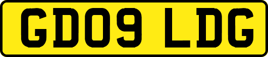 GD09LDG