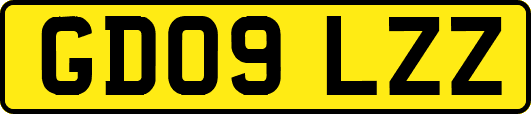 GD09LZZ