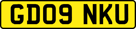 GD09NKU