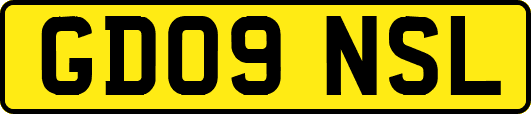 GD09NSL