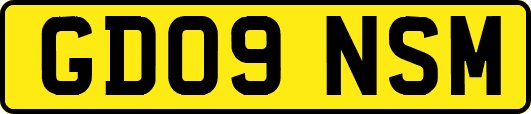GD09NSM