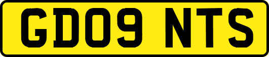 GD09NTS