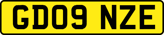 GD09NZE