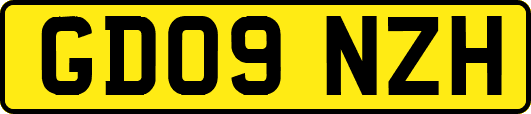 GD09NZH