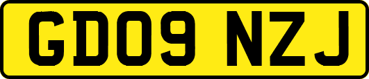 GD09NZJ