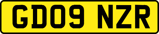 GD09NZR