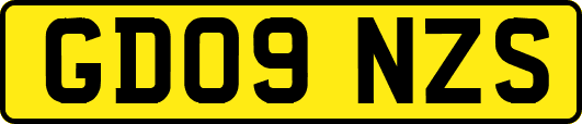 GD09NZS