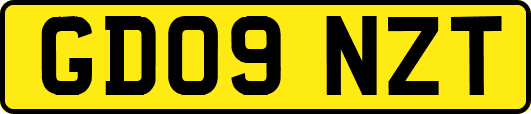 GD09NZT