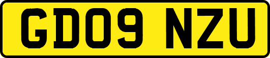 GD09NZU