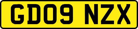 GD09NZX
