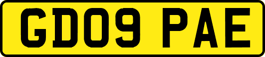GD09PAE