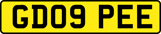 GD09PEE