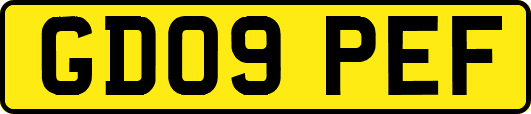 GD09PEF