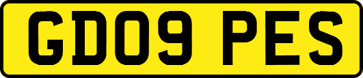 GD09PES