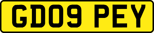 GD09PEY