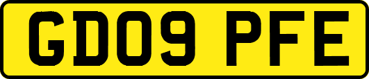 GD09PFE