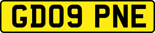 GD09PNE