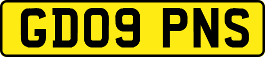 GD09PNS