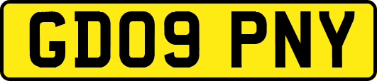 GD09PNY