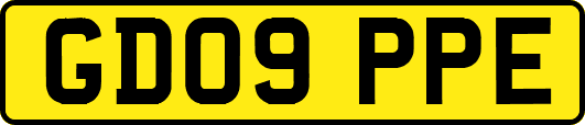 GD09PPE