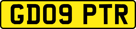 GD09PTR