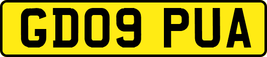 GD09PUA