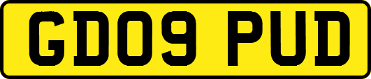 GD09PUD