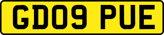 GD09PUE