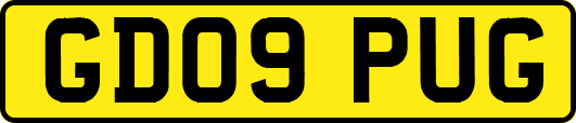 GD09PUG